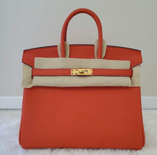 Hermes Birkin 25 Capucine Red Orange Togo Bag - Chicjoy