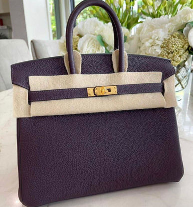 Picture of Hermes Birkin 25 (Raisin Togo)